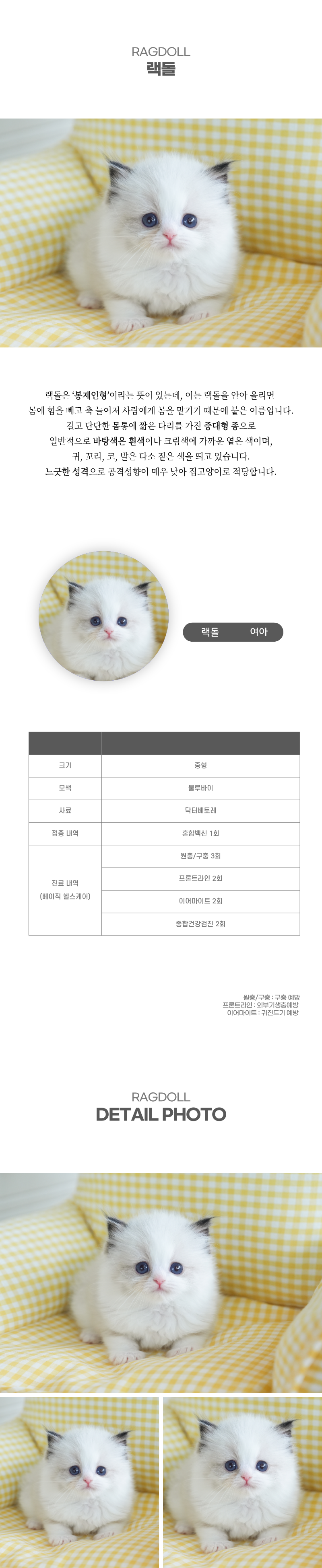 랙돌_상세이미지_2
